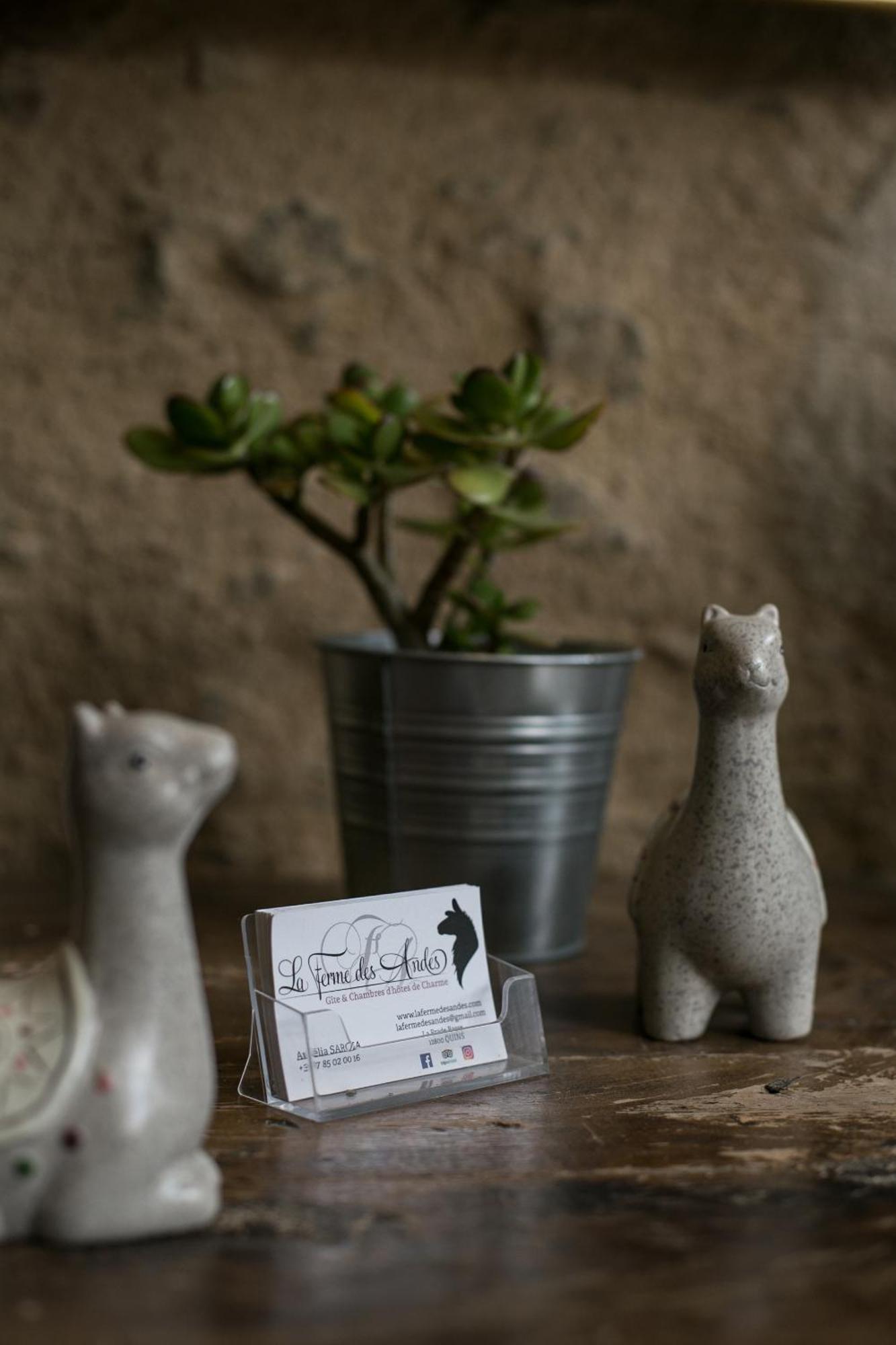 La Ferme Des Andes - Gite L'Atelier Quins Dış mekan fotoğraf