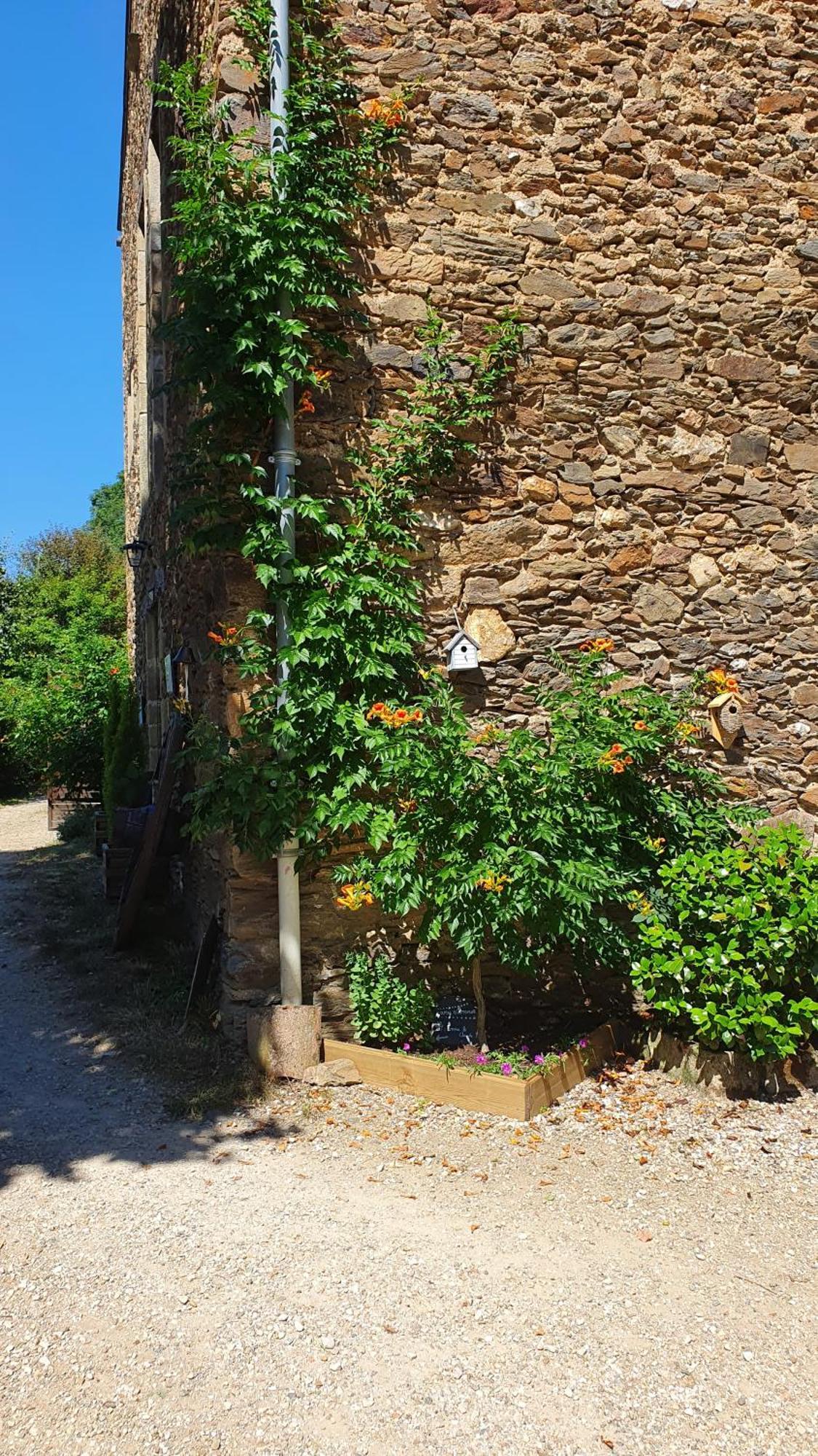 La Ferme Des Andes - Gite L'Atelier Quins Dış mekan fotoğraf