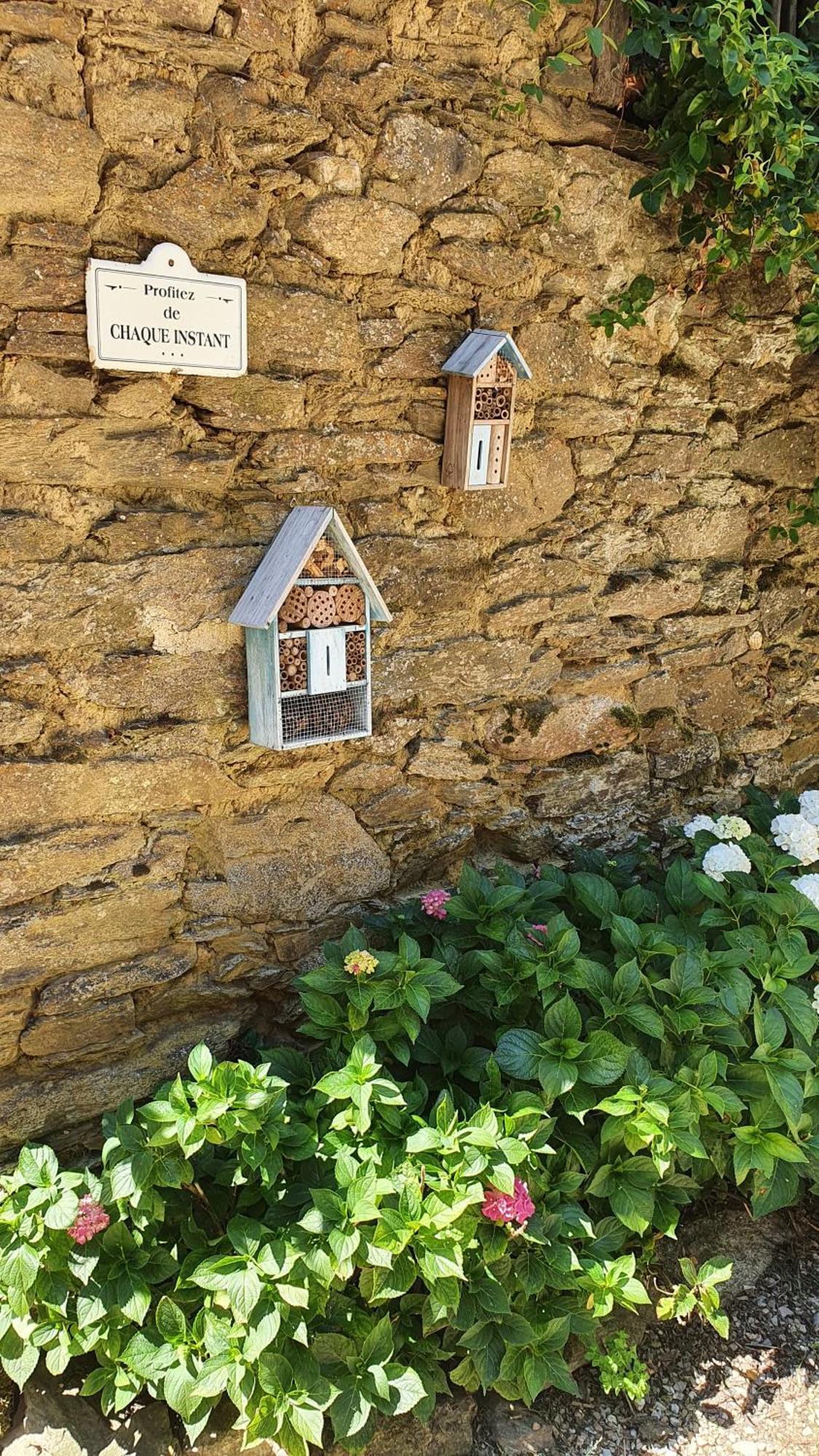 La Ferme Des Andes - Gite L'Atelier Quins Dış mekan fotoğraf