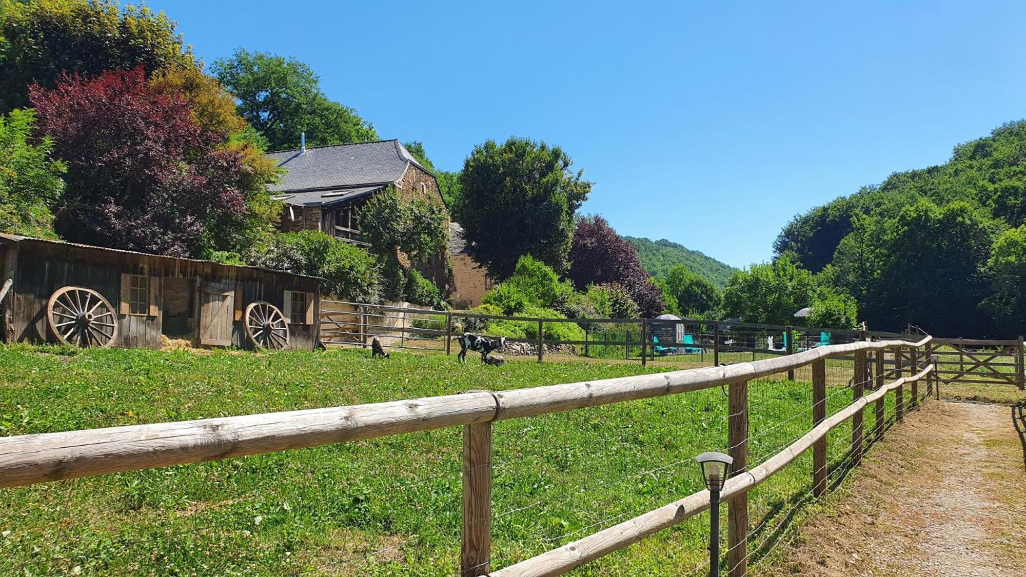 La Ferme Des Andes - Gite L'Atelier Quins Dış mekan fotoğraf