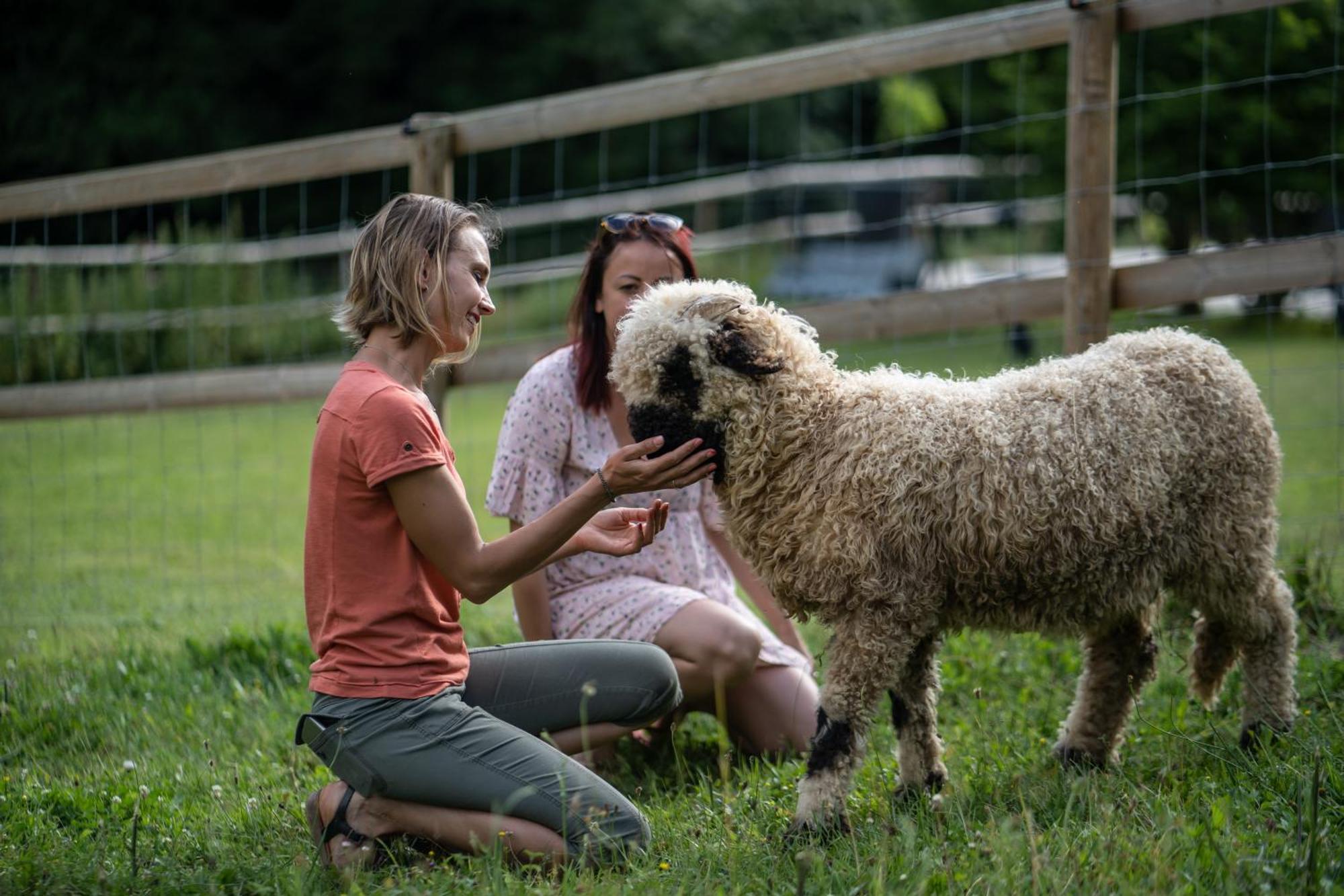 La Ferme Des Andes - Gite L'Atelier Quins Dış mekan fotoğraf