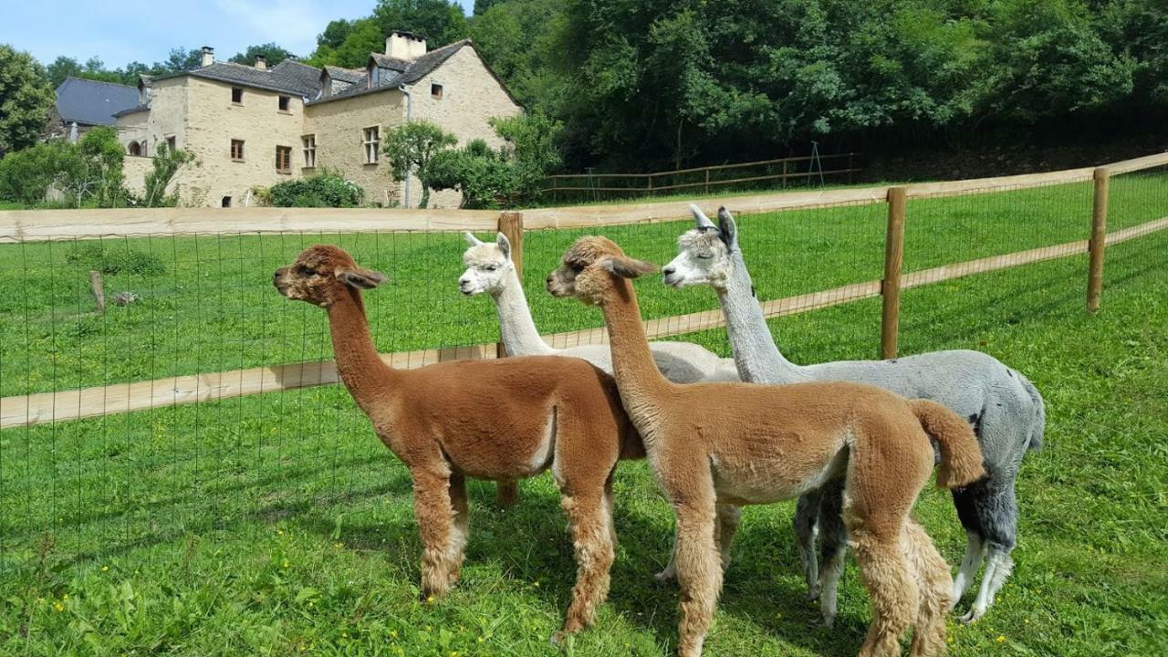 La Ferme Des Andes - Gite L'Atelier Quins Dış mekan fotoğraf