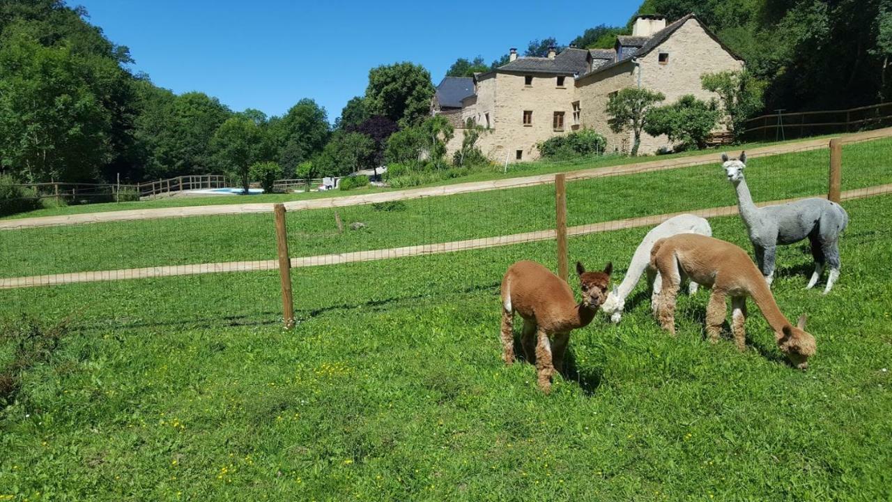 La Ferme Des Andes - Gite L'Atelier Quins Dış mekan fotoğraf