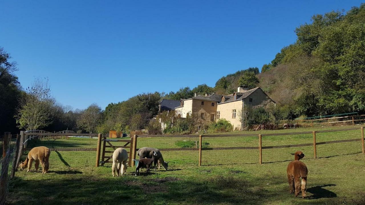 La Ferme Des Andes - Gite L'Atelier Quins Dış mekan fotoğraf